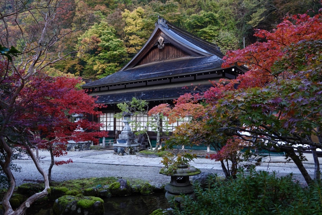 極彩色の紅葉その２