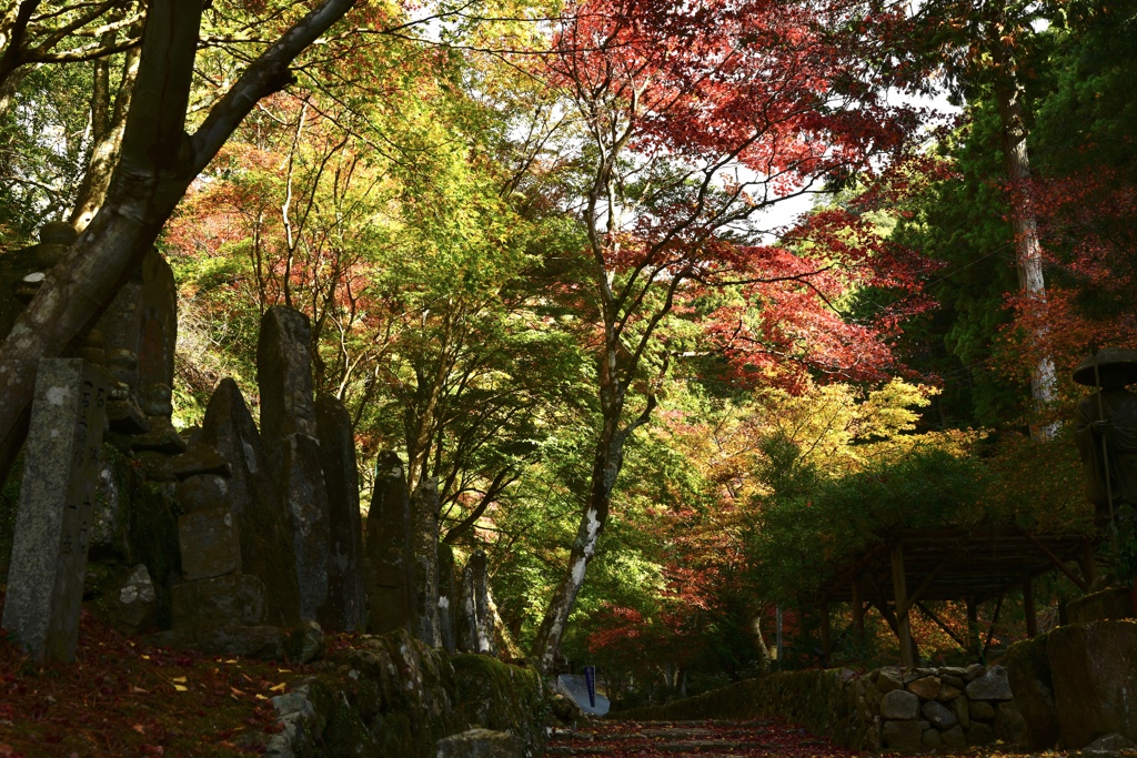 石龕寺紅葉1