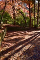 毘沙門堂の紅葉2