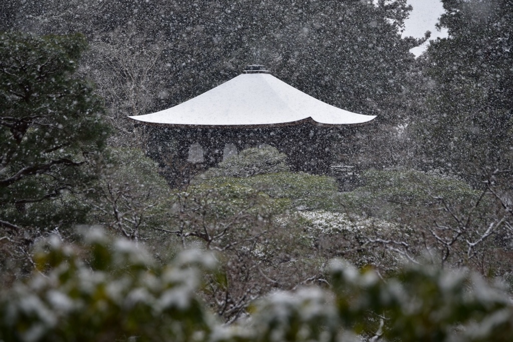 雪の京都1
