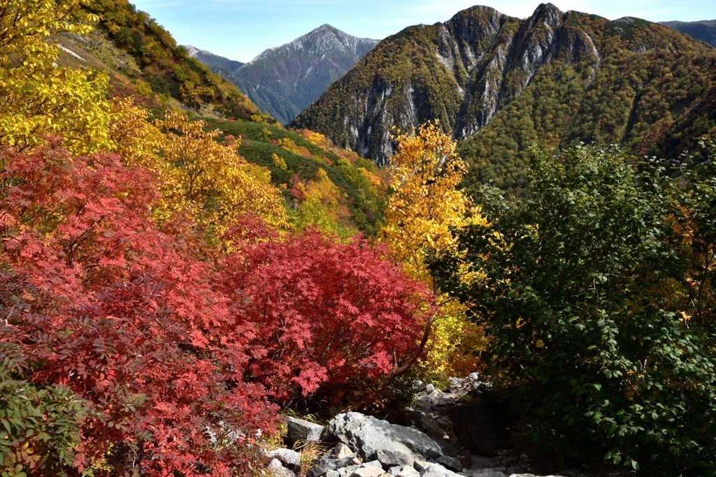 涸沢紅葉