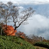 犬倉山・紅葉