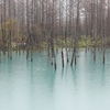 エメラルドグリーンの青い池