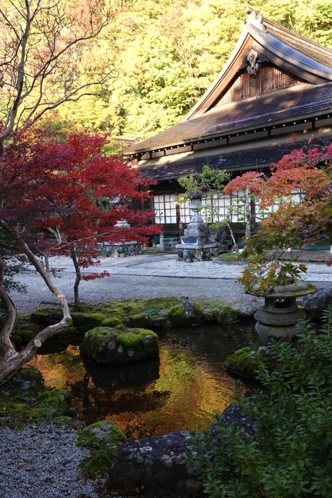 極彩色の紅葉