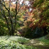 花の寺・紅葉1