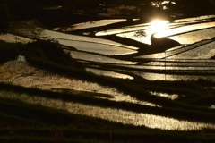 棚田の夕日
