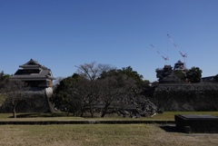爪跡