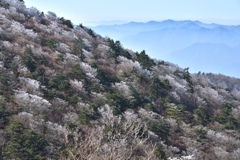 樹氷と紅葉