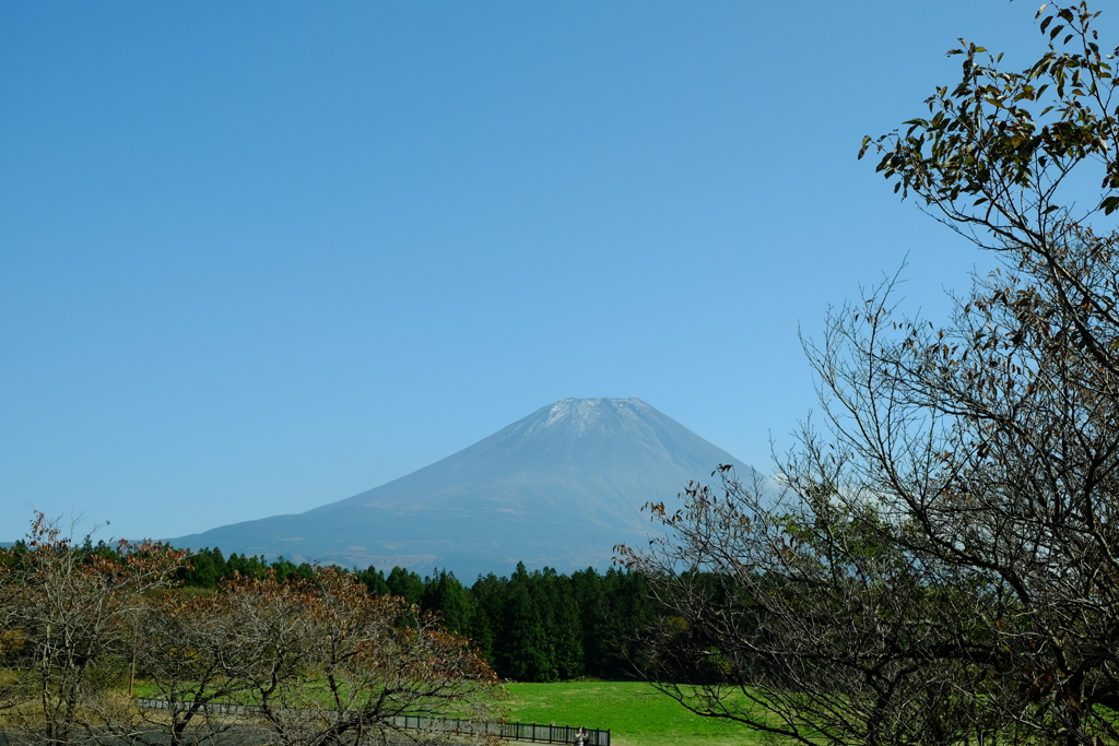 富士山①