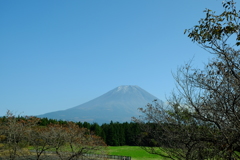 富士山①