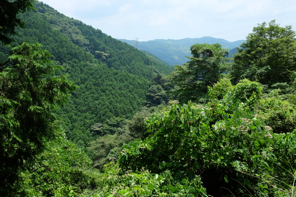 山