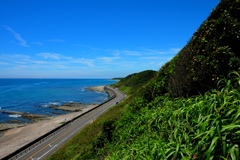海岸沿い