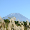 富士山とススキ