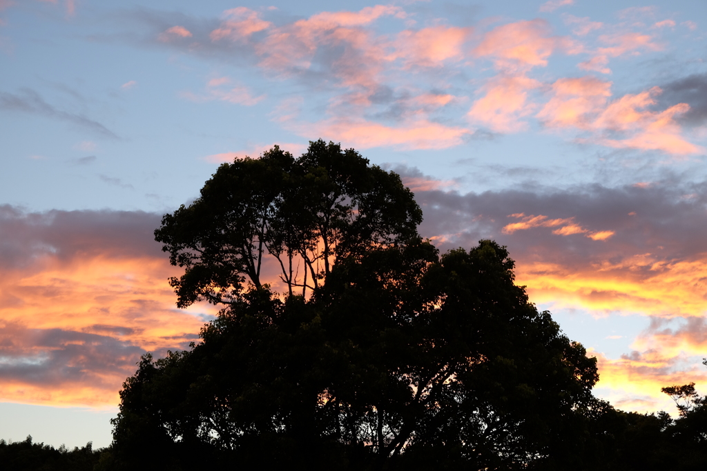夕暮れ時