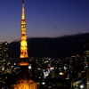 東京のシンボル
