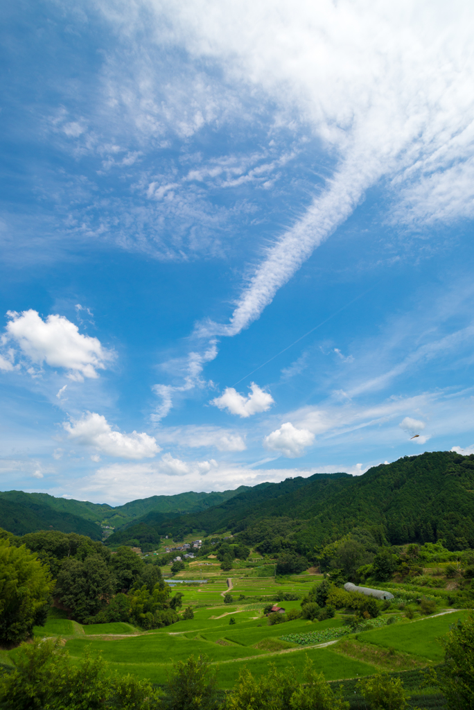 明日香村にある稲淵の棚田２