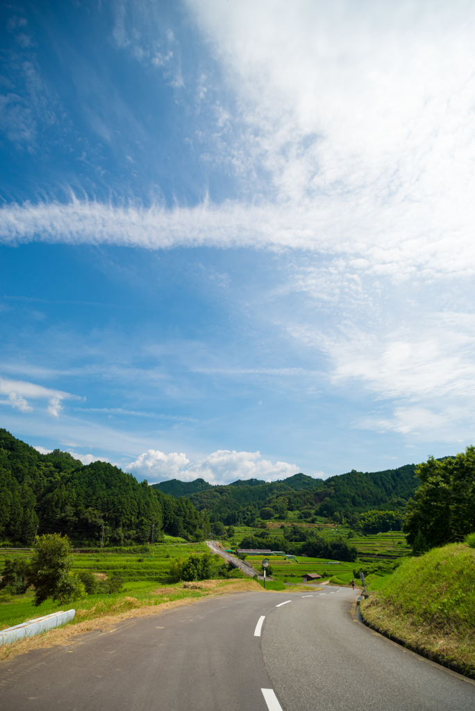 明日香村の道