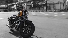 Harley-Davidson 2016 XL1200X Forty-Eight