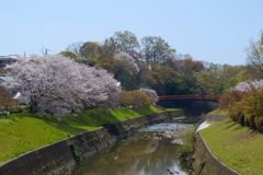 竜田川春景