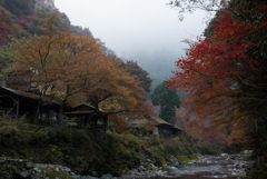 里山の秋