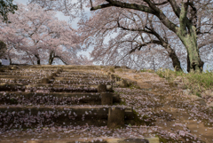 この丘に登れば…