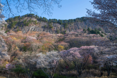 　屏風に咲く　花