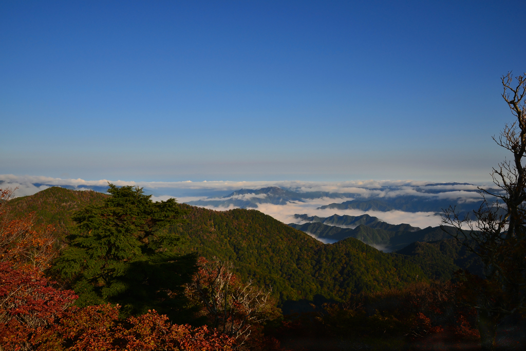 　出逢えた秋景