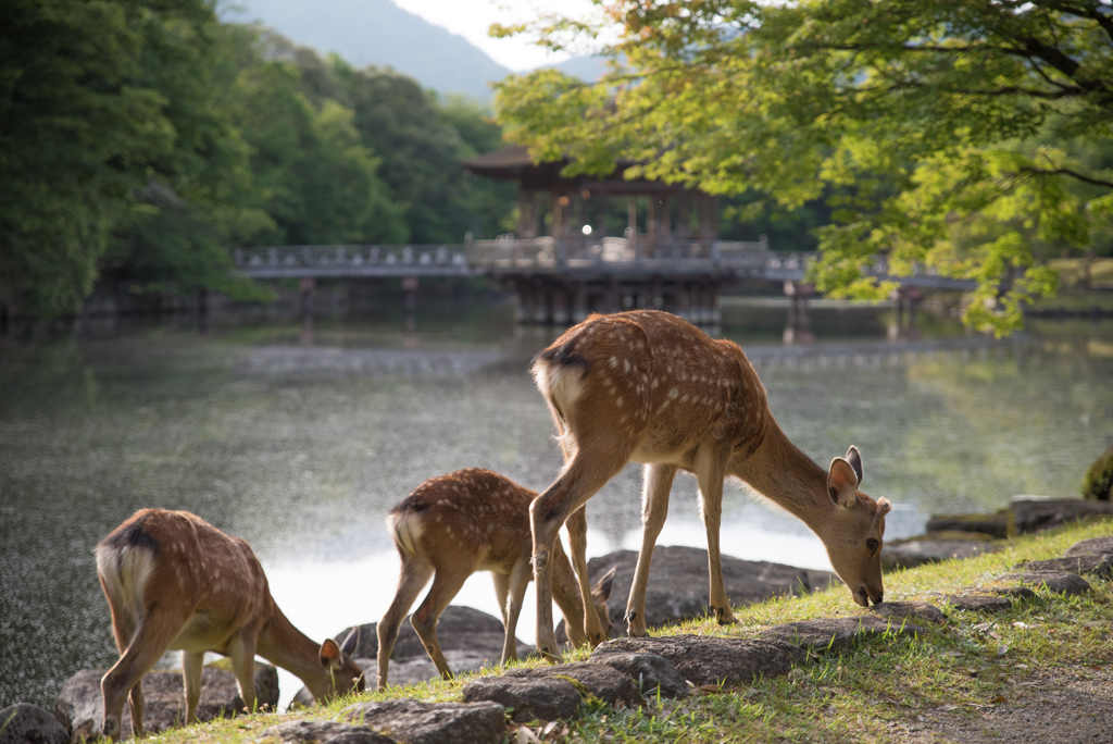 おはよう～