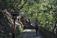  参道の情景