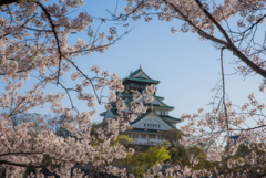 天守閣とSAKURA