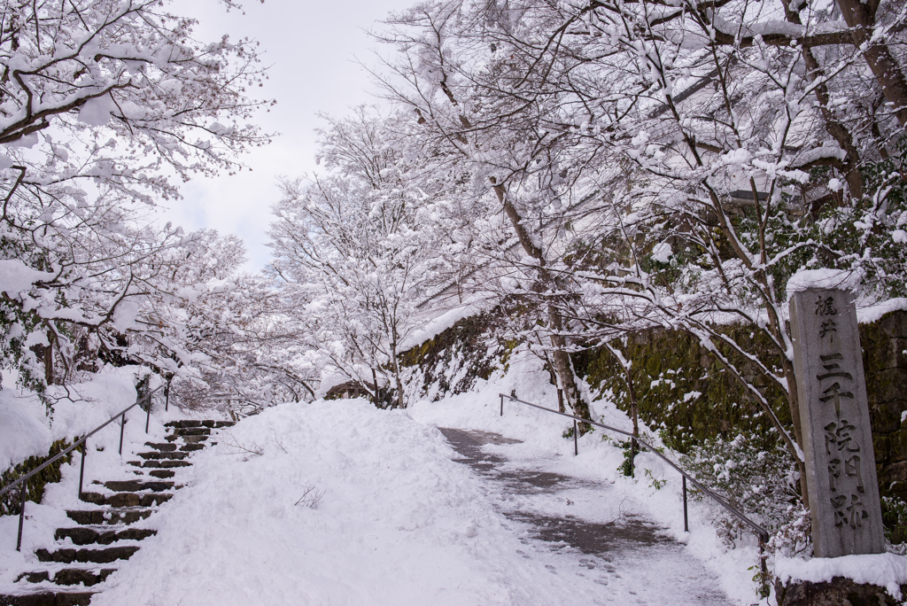 　雪の大原