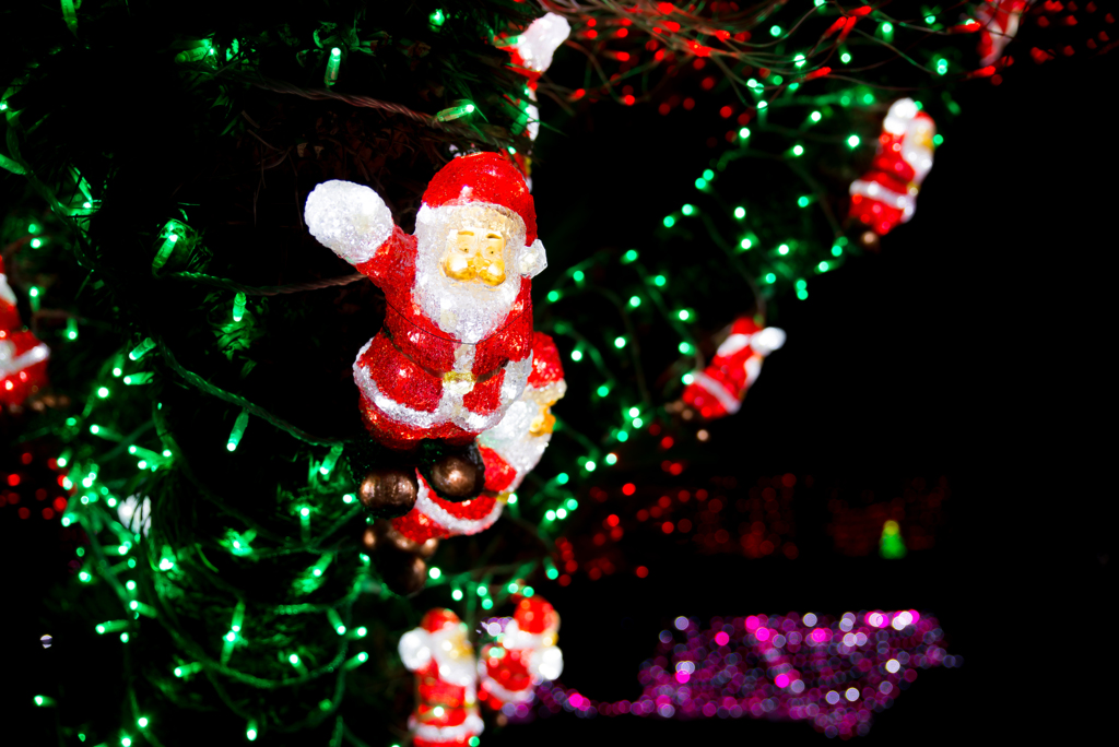 　May your Christmas wishes come true!