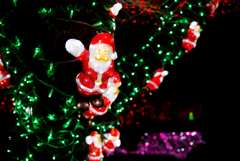 　May your Christmas wishes come true!