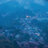 桜道　蔵王堂夜明け前