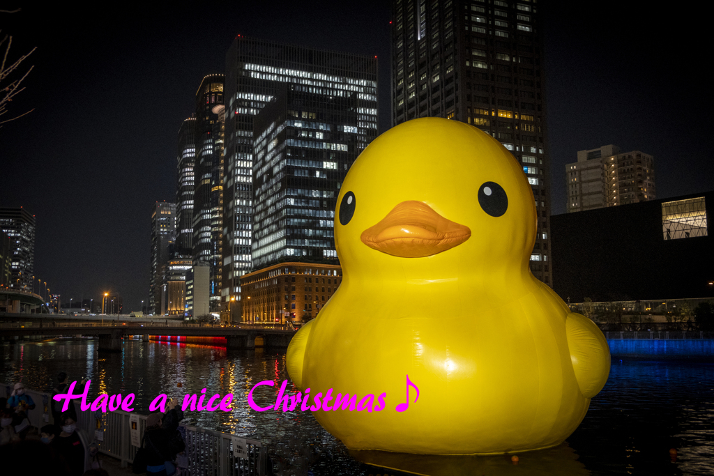May your Xmas wish come true ♪