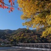 秋日和