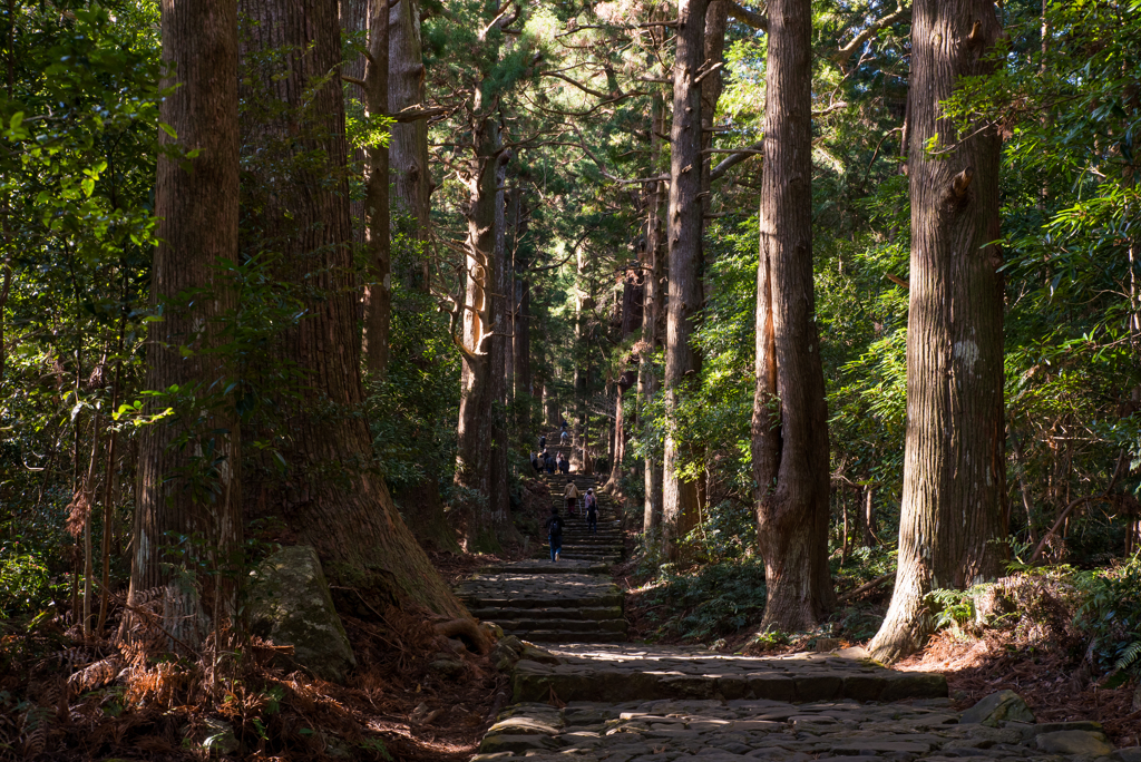 熊野の神域…