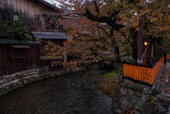 白川通の秋…