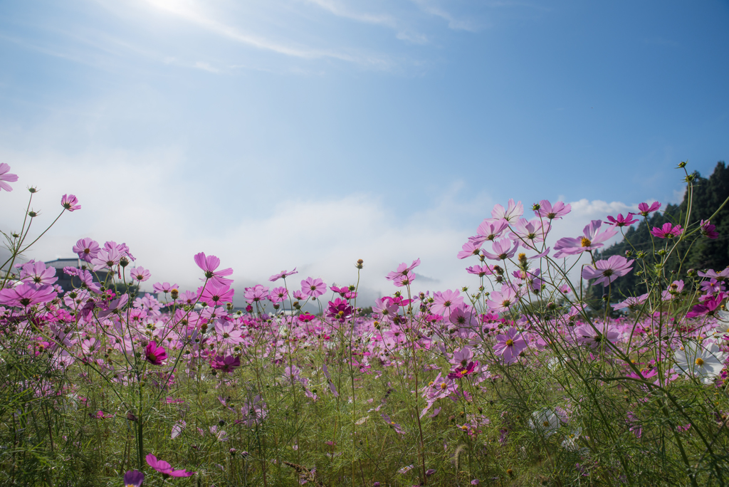 　もうすぐ青空…