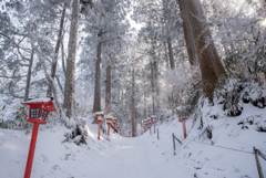 　金剛山山道