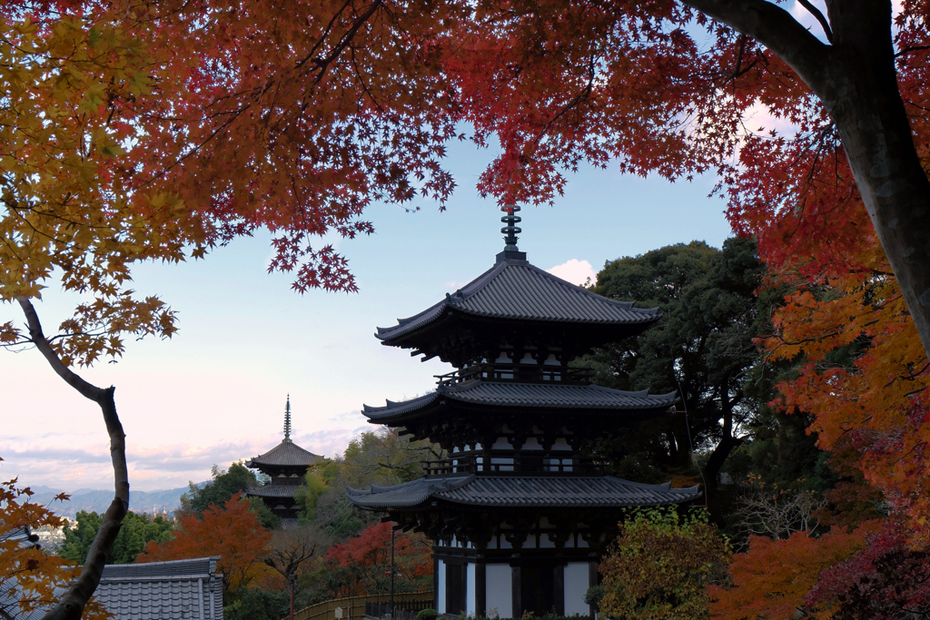 双塔伽藍の秋