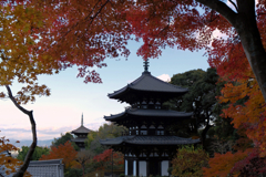 双塔伽藍の秋