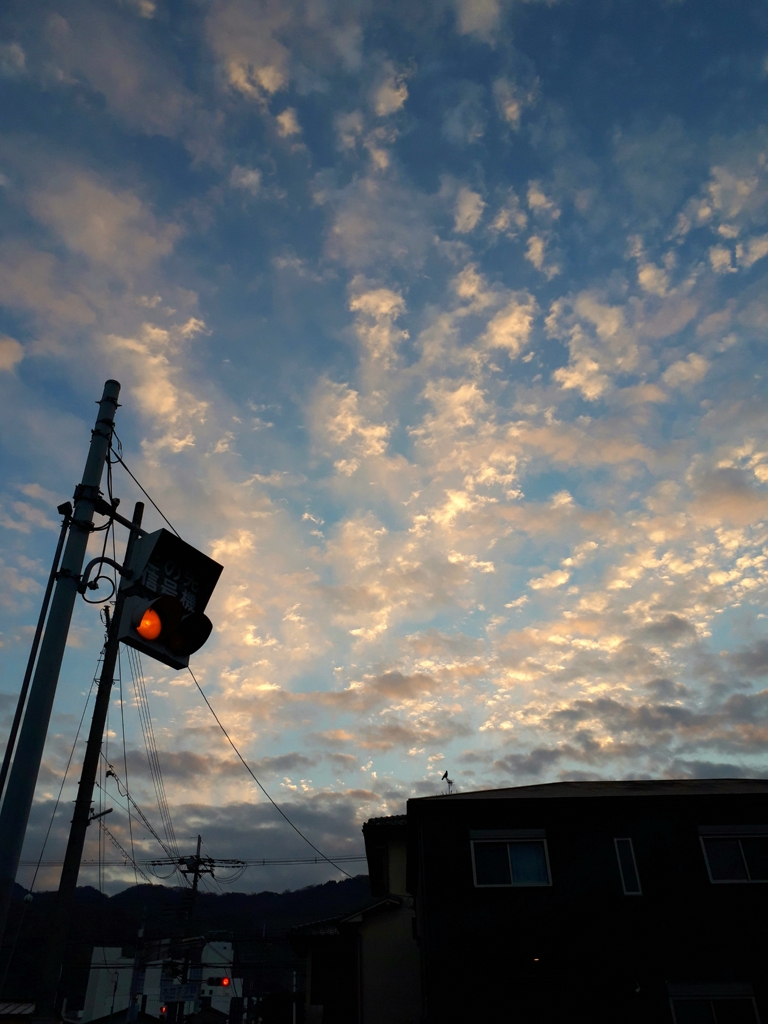 今朝の空