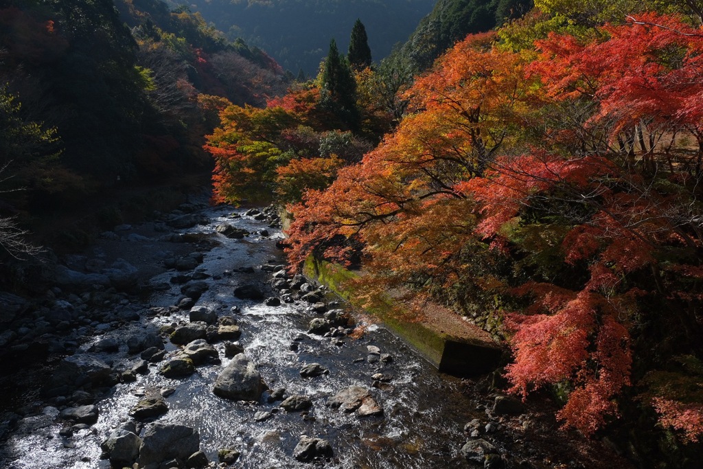 山あいの里 -清滝秋景-