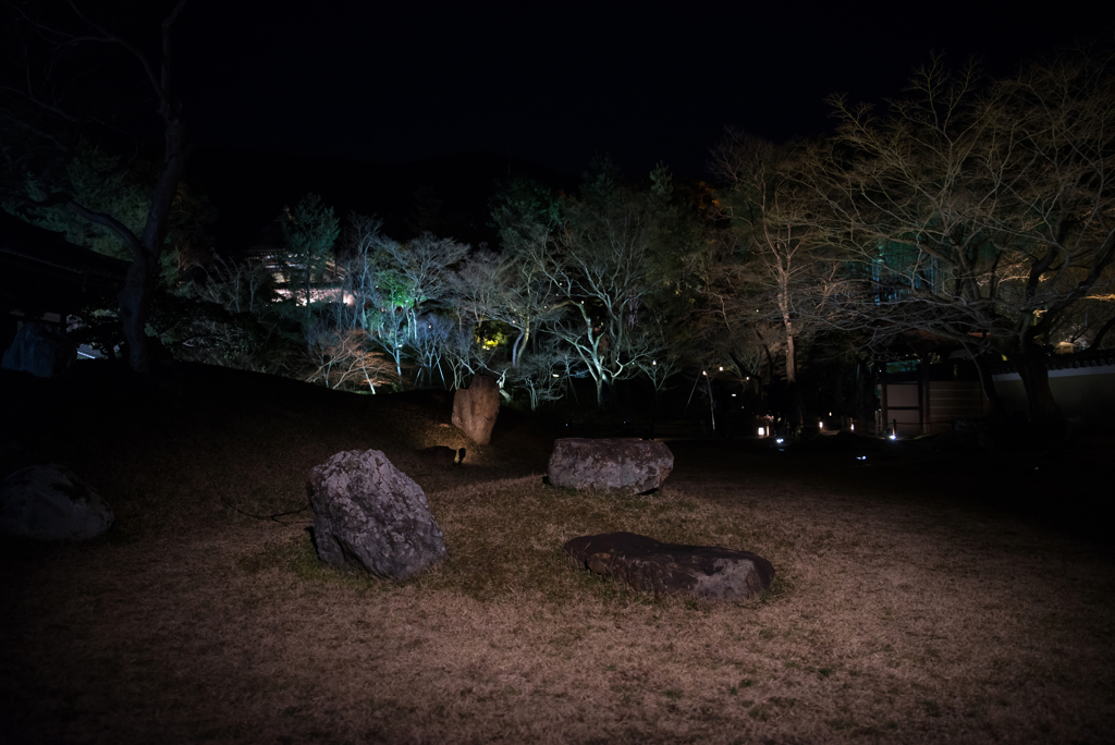  高台寺　夜の彩