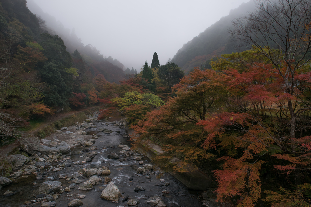 朝霧につつまれて…