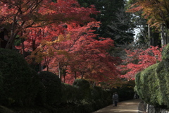 心の旅路…