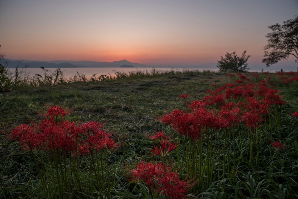 湖畔の夜明け