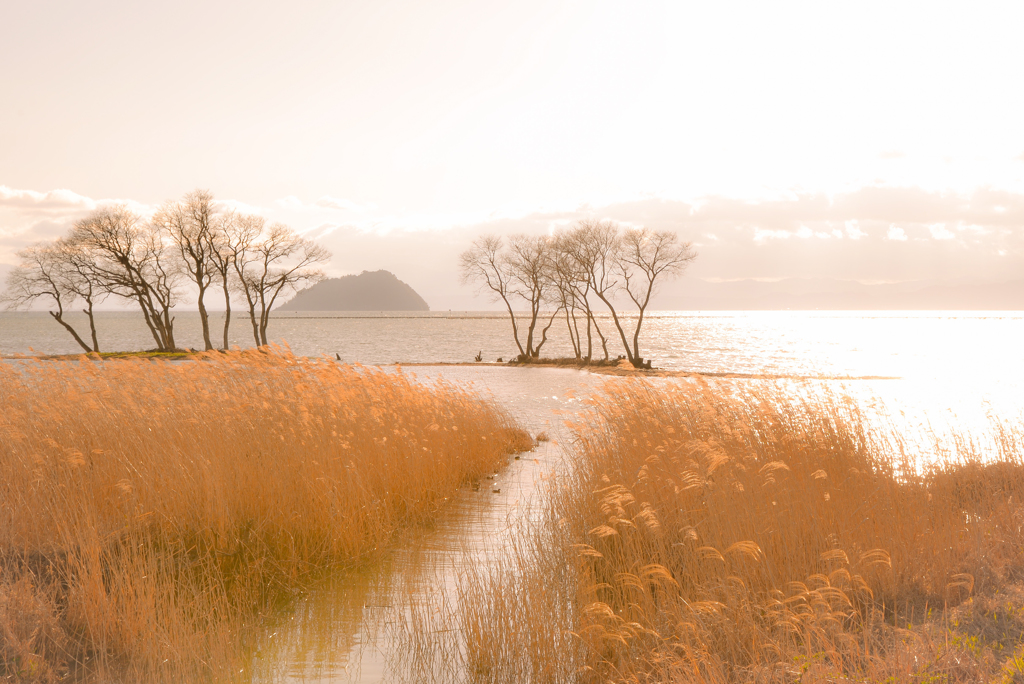 湖北の初春