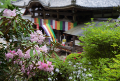 龍蓋寺の趣